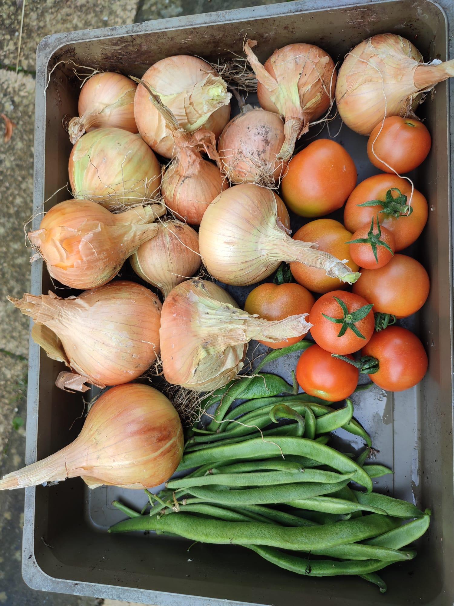 Harvest